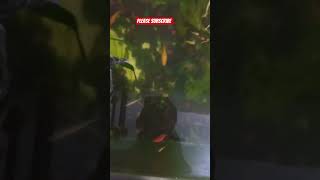 Download lagu please subscribe #jobbiehebriovlogs mp3 Download lagu please subscribe #jobbiehebriovlogs mp3