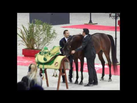 World Champion Senior Female - 2016 - Donna Molta Bella SRA