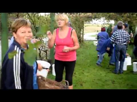 Brotva Turističnega društva Cven