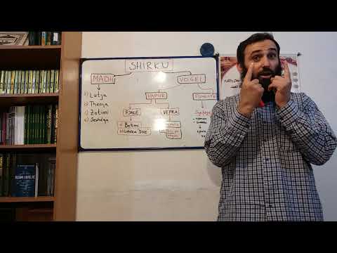 Llojet e shirkut e shtjelluar në tabelë me shembuj konkret dhe PP