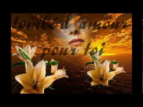 je suis tombé d amour pour toi (pl)