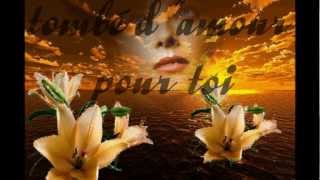 je suis tombé d amour pour toi (pl)