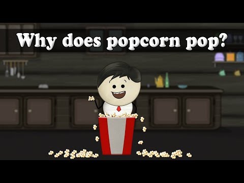 Why does popcorn pop? | #aumsum #kids #science #education #children