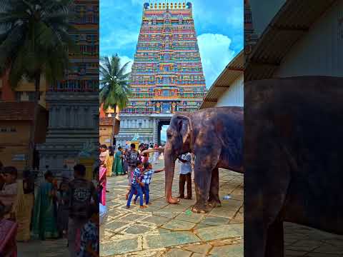Sri Sringeri Sharada Peetam - Ancient Spiritual Center and Architectural Marvel in Sringeri