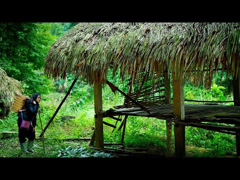 Girl disappears after tragedy - boyfriend searches desperately... the ending leaves everyone shocked