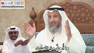 79 - ما أُحِلَّ من الصيد - عثمان الخميس