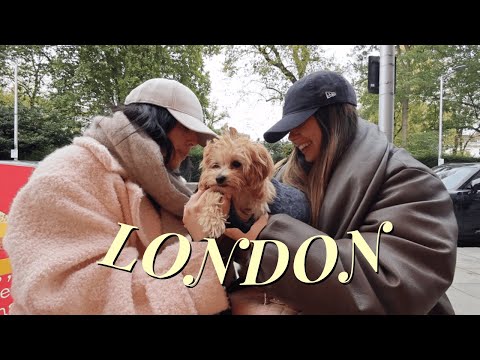 WEEKLY VLOG IN LONDON | Trying Tiktok Pizza, Walks with Blueberry & New Hair!!!