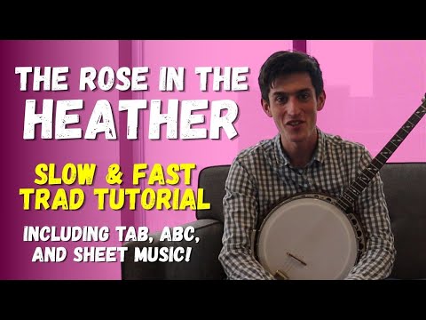 The Rose in The Heather - Irish Music Tutorial by James Finnegan