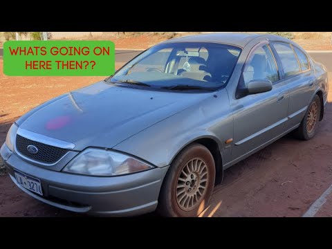 Thumbnail for Went insane and bought a AU Fairmont for $300.