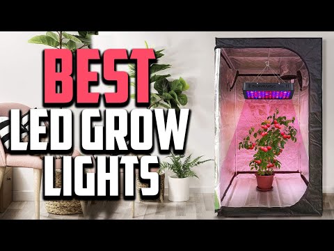Top 10 Best LED Grow Lights in 2022 Reviews
