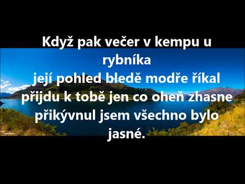 Dalibor Janda - snad jsem si jí měl všímat víc + text