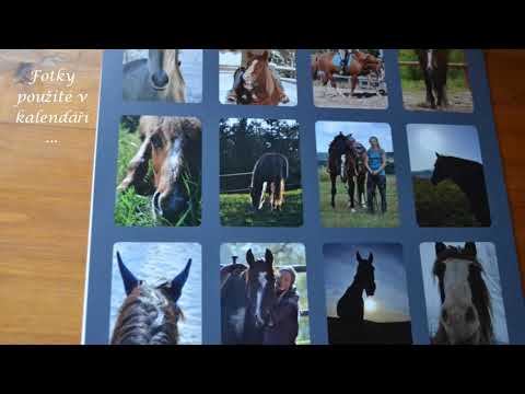 Plánovací kalendář 2020 - Jezděte srdcem