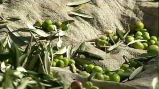 preview picture of video 'OLIVE OIL CULTURE IN AYVALIK (Official Advertorial)'