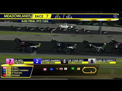 New Jersie Sire Stakes C&G 3yo Final 2023 - Air Power