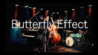 Joshua Ginsburg's Butterfly Effect