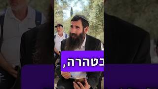 הדבר הכי חשוב בתשעה באב זה לעלות להר הבית בטהרה! #תשעה_באב #הר_הבית #גאולה (ישיבת הר הבית) - התמונה מוצגת ישירות מתוך אתר האינטרנט יוטיוב. זכויות היוצרים בתמונה שייכות ליוצרה. קישור קרדיט למקור התוכן נמצא בתוך דף הסרטון