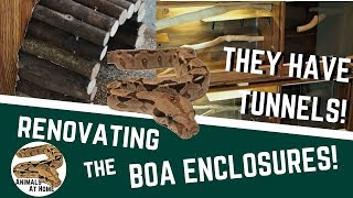 Boa Enclosure Renovation- Adding Tunnels!