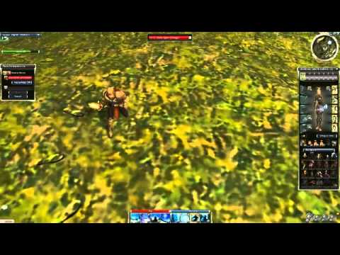 My Guild Wars Mini Pet Collection