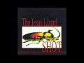 The Jesus Lizard - "Skull Of A German"