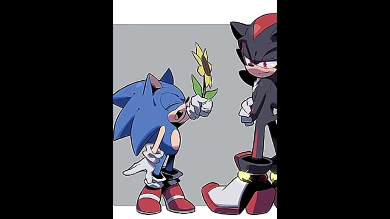Sonadow edit (Sonic & Shadow)