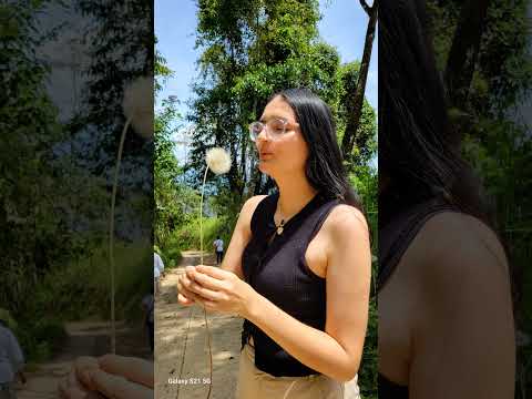 Un inolvidable sitio, deslizadero, columpio y más, ubicado en Balboa Risaralda.