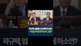 곽규택, 엄희준 검사 불러 하소연 서영교 박은정 고압적 목소리 고문 / #채널A #shorts #DLAB