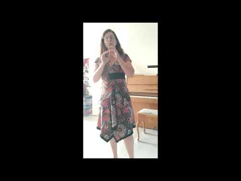 La Marmotte - Ludwig van Beethoven - solo soprano recorder