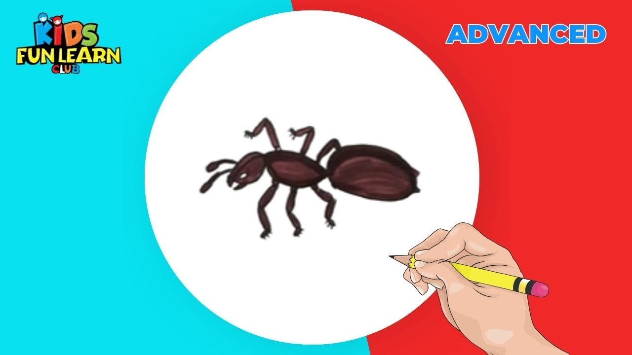 How to Draw an Ant