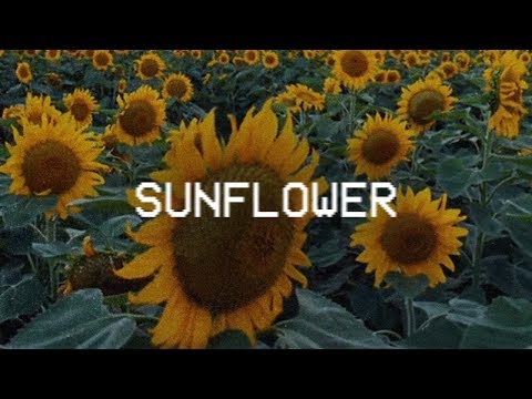 Post Malone & Swae Lee - Sunflower (Type Beat 2018)
