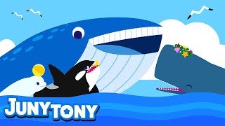 Whale Song for Kids | Learn Sea Animals | Blue whale, Sperm whale, Beluga Whale and Orca | Juny&amp;Tony