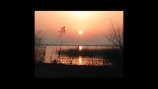 Rise and Meet the Day