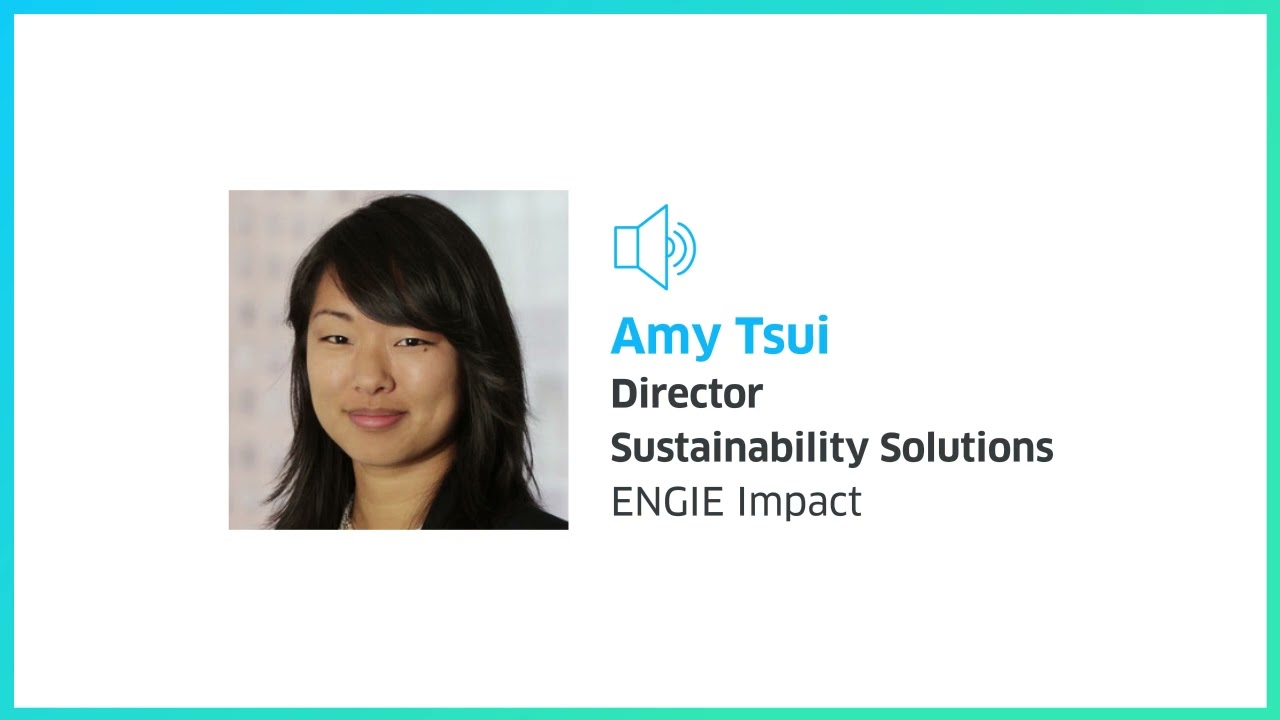 How to Develop a Holistic Sustainability Strategy