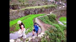 preview picture of video 'Banaue Travel, Philippines'