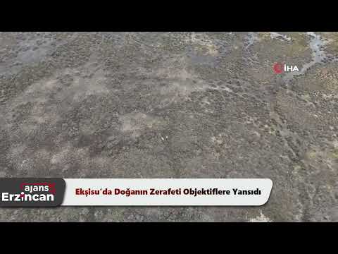 Ekşisu’da Doğanın Zerafeti Objektiflere Yansıdı