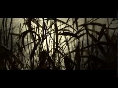 Laura B "Last Day Into Darkness" Avicii vs Michael Woods (Laura B Video Edit)