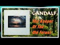 Gandalf - The Keeper Of The Old Forest