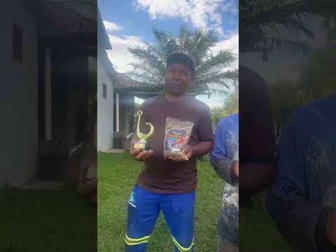 DIÁRIA RIO BOM PR #fishing # #tilapia