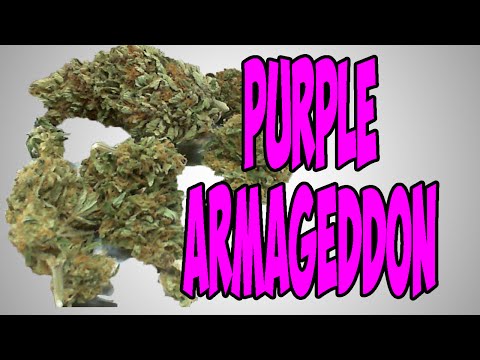download lagu mp3 mp4 Armageddon Strain, download lagu Armageddon Strain gratis, unduh video klip Download Armageddon Strain Mp3 dan Mp4 Unlimited Gratis
