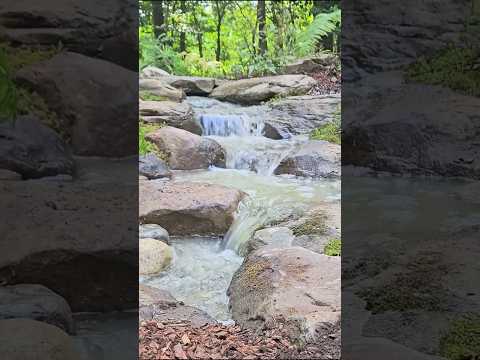 PONDLESS WATERFALL! #backyard #landscapebuild #diy #garden#waterfall #aquascape #timelapse