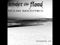 Miracle (Acoustic) Under The Flood