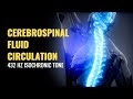 Cerebrospinal Fluid Circulation Cleanse Brain And Spinal Cord From Injury 432 Hz Isochronic Tone