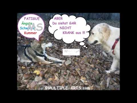 Interview ANTENNE MAINZ 106,6 Teil 2