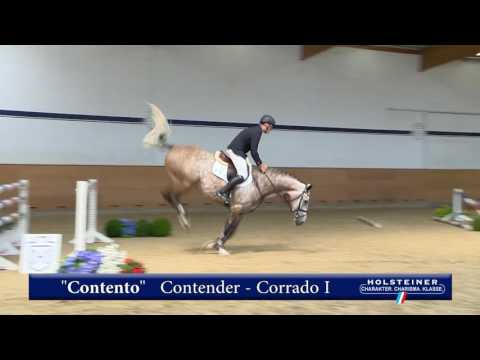 126. Contento v. Contender - Corrado I