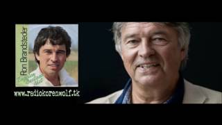 Engelen bestaan niet - Ron Brandsteder