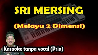 Download lagu Sri mersing karaoke melayu 2 dimensi (keyboard) mp3