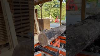 How Much is a 12” Log Worth? Small Walnut on the Mill
