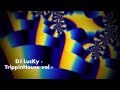 DJ LucKy TrippinHouse Vol 1