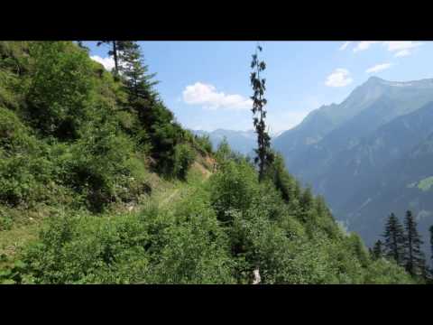 Tagestour Finkenberg Almbahn Astegg Finkenberg