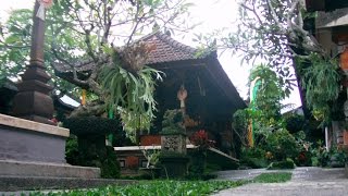 preview picture of video 'Banjar Nyuh Kuning Tempat Menarik Di Ubud Bali Jangan Dilewatkan!'