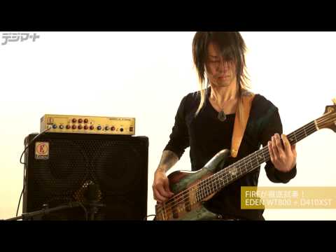 FIREが徹底試奏！EDEN WT800+D410XST